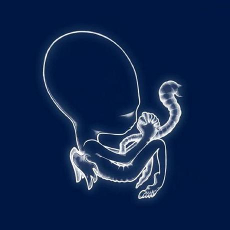 One developer and a fleet of AI agents · Hacker News | Zeli